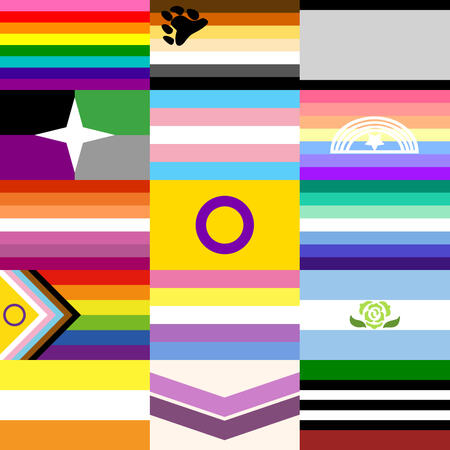 An array of queer flags: The original Gilbert Baker pride flag, bear brotherhood, gendervauge, aspec, transgender, xenogender, lesbian, intersex, gay, intersex progress pride, yellow stripe bigender, achillean, maverique, queer chevron, and apothiromantic.